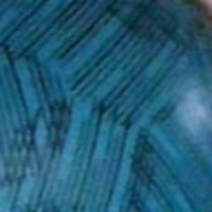 Meet your Posher, Abigail